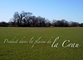 foin de crau aop