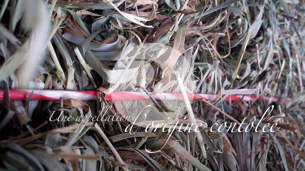 Foin de Crau AOC 2014