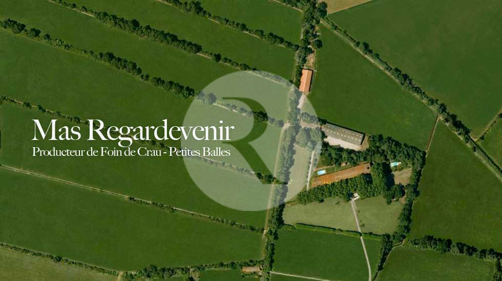 foin de crau aop