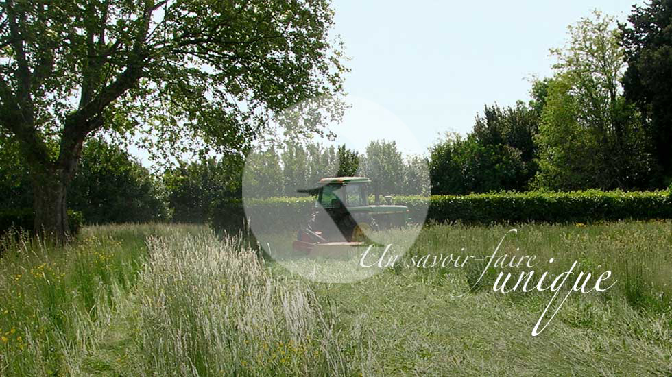 vente foin de crau aoc