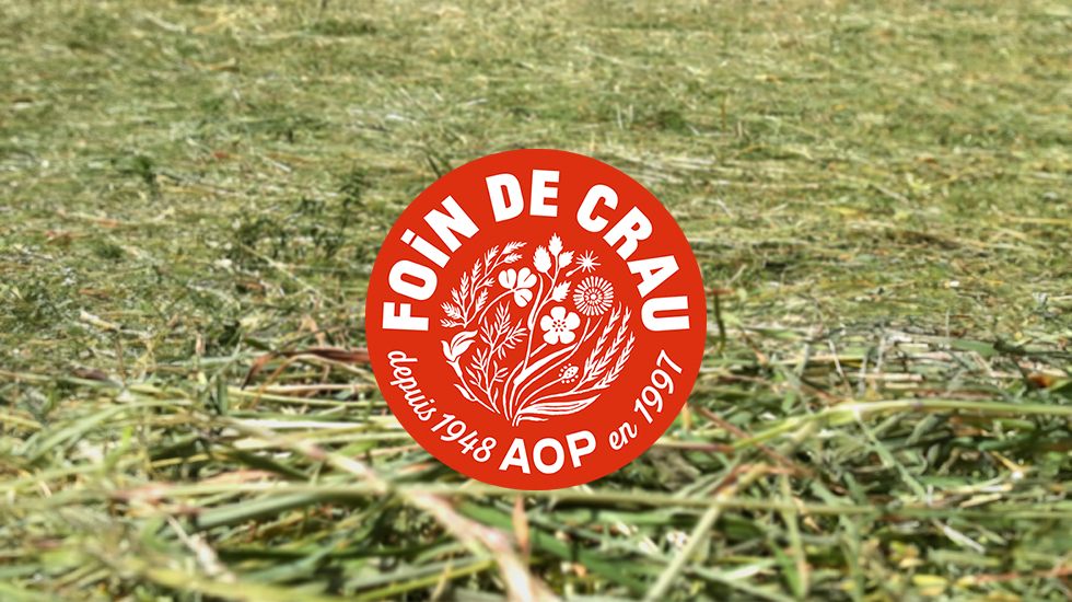 Foin de Crau 2025